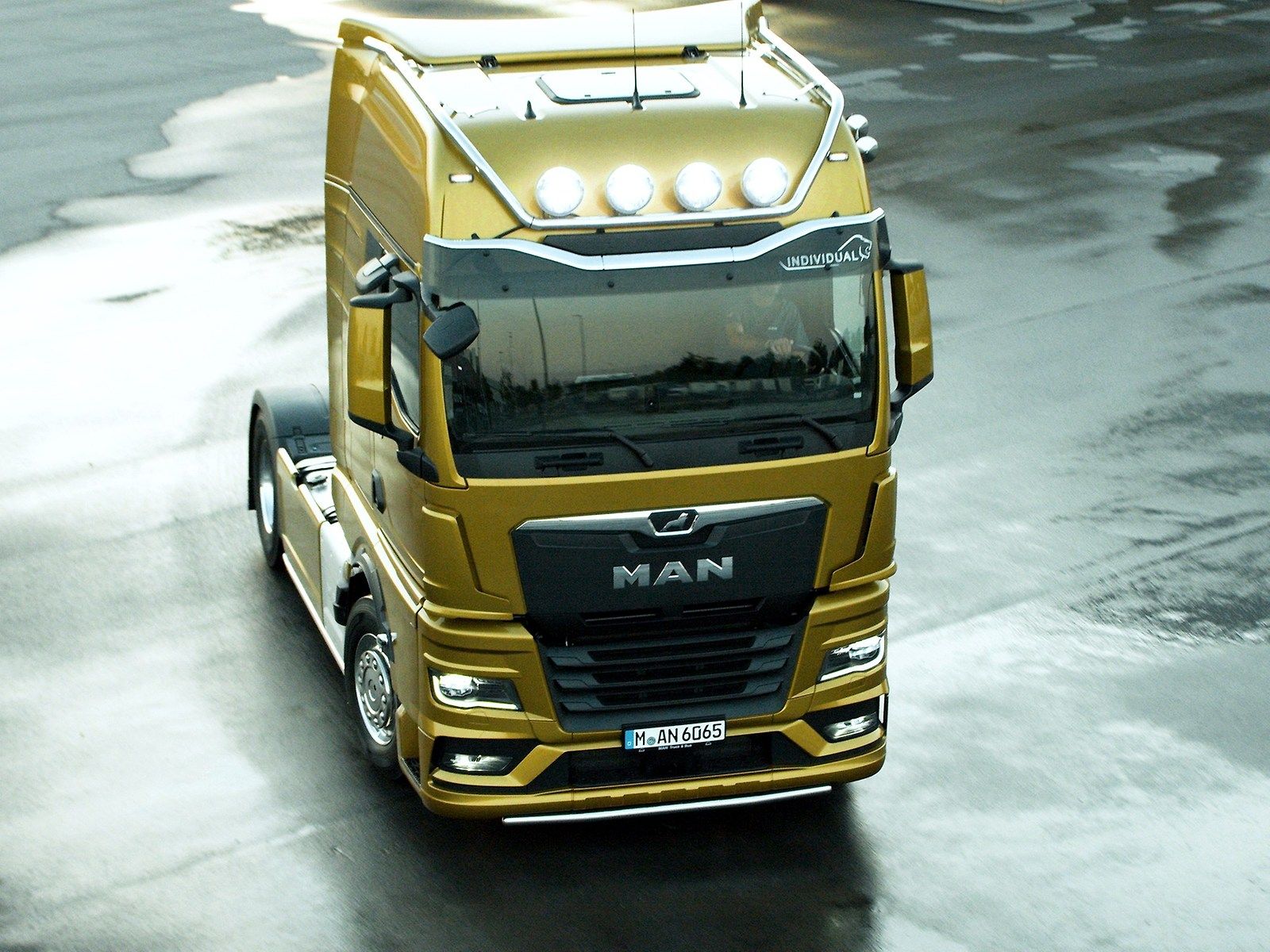 man-lkw-tgx-individual-lion-campaign-bild-4-3_width_1600_height_1200.jpg