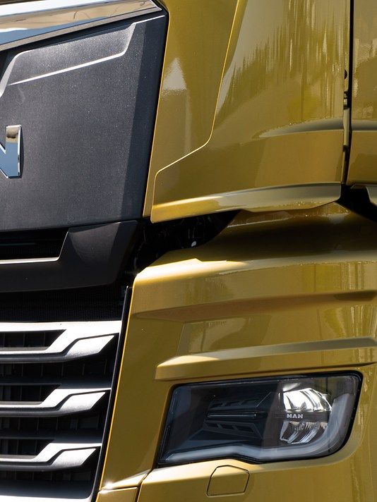 man-lkw-tgx-individual-lion-daytime-light-galerie-3-4_width_534_height_712.jpg