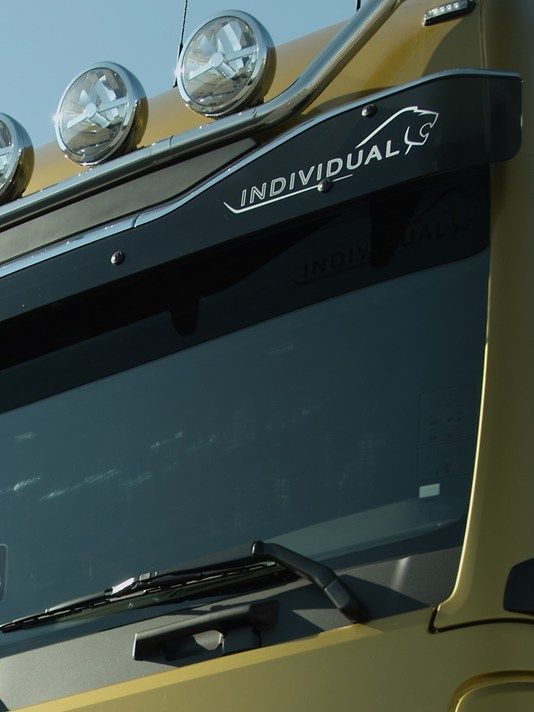 man-lkw-tgx-individual-lion-sunshield-galerie-3-4_width_534_height_712.jpg